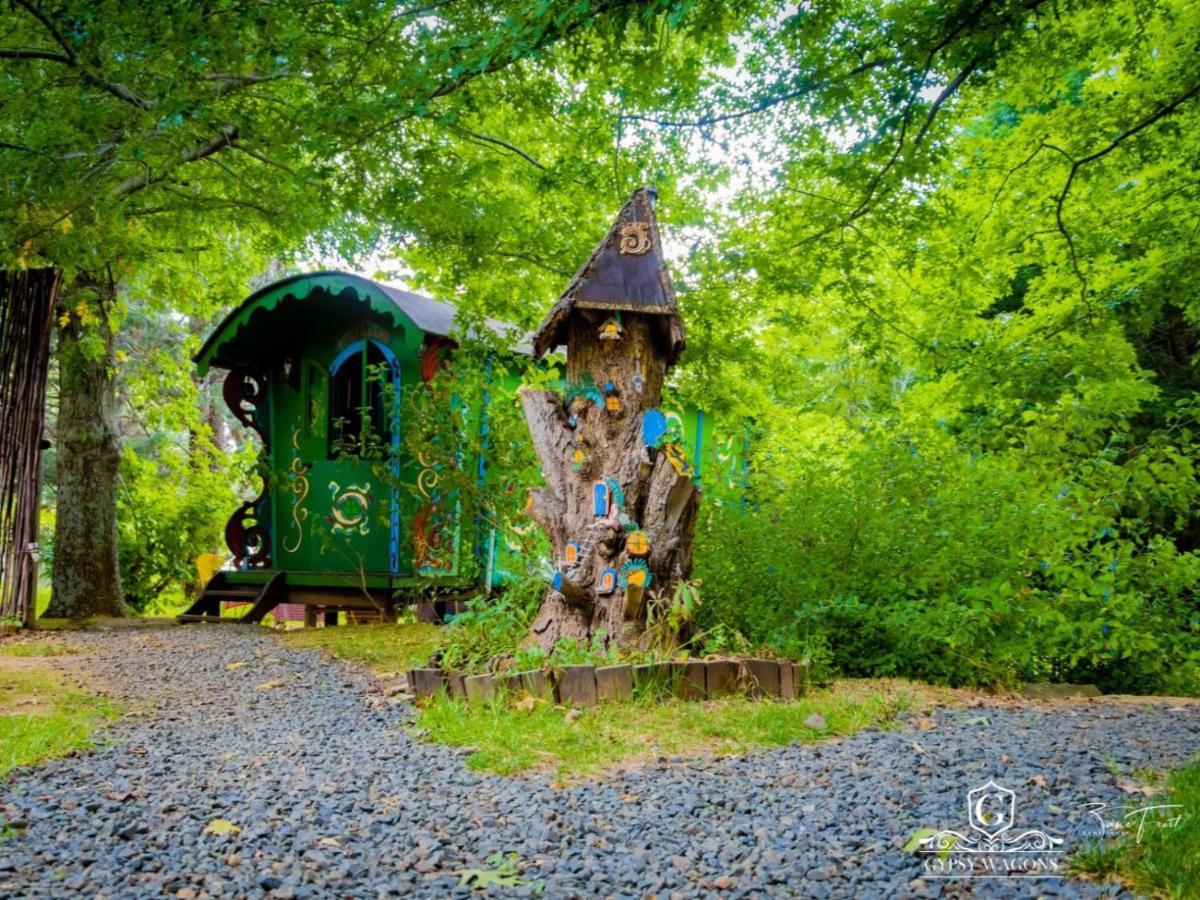 Gypsy Wagons And Vans, Кларенс Номер фото